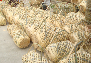 各地鹅苗与鸽苗价格行情分析